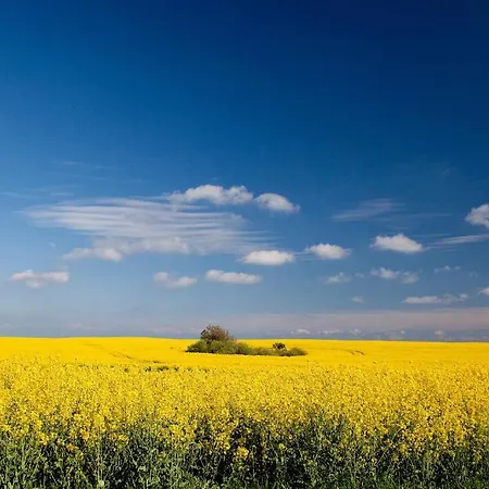 Apartmán Familie Glasner Binz